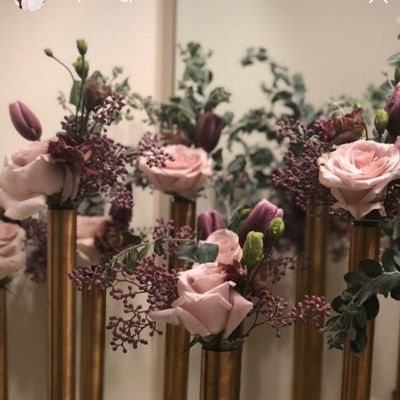 Meet your Posher, Lila - Picture 1 of 1